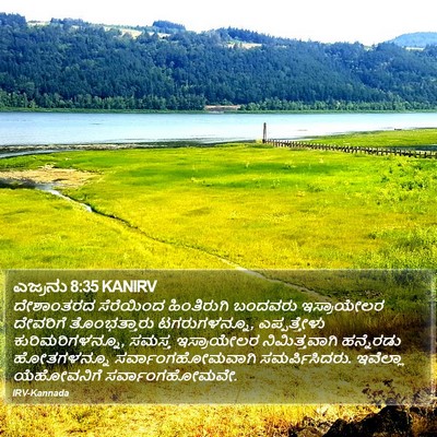 ಎಜ್ರನು 8:35 KANIRV Bible Verse Image