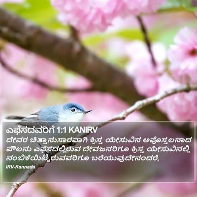 ಎಫೆಸದವರಿಗೆ 1:1 KANIRV Bible Verse Image