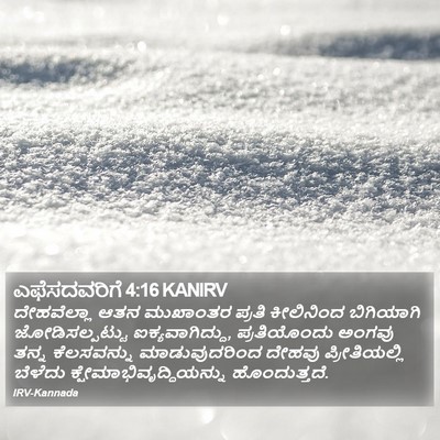 ಎಫೆಸದವರಿಗೆ 4:16 KANIRV Bible Verse Image