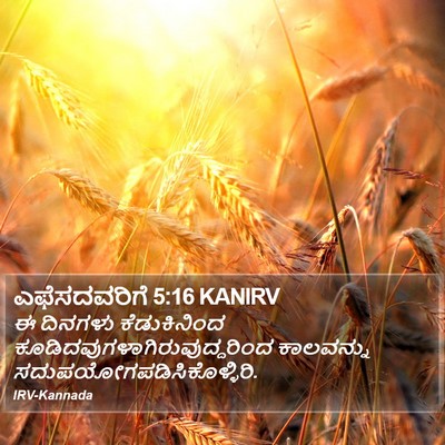 ಎಫೆಸದವರಿಗೆ 5:16 KANIRV Bible Verse Image