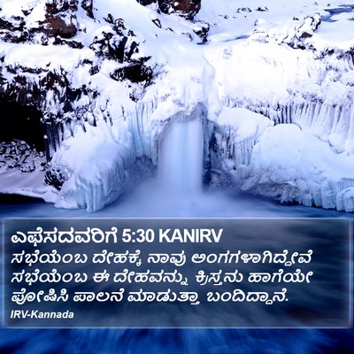 ಎಫೆಸದವರಿಗೆ 5:30 KANIRV Bible Verse Image