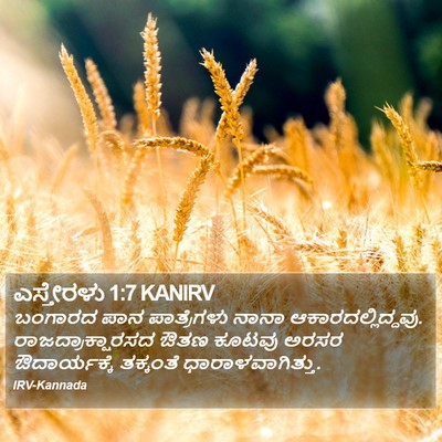 ಎಸ್ತೇರಳು 1:7 KANIRV Bible Verse Image