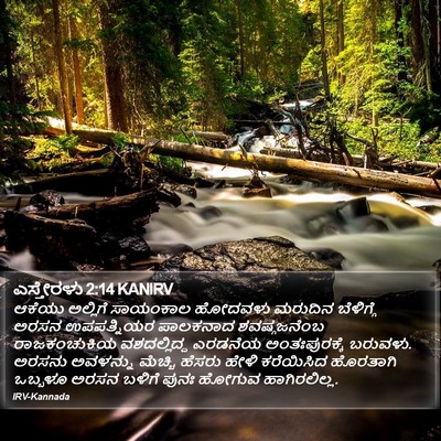 ಎಸ್ತೇರಳು 2:14 KANIRV Bible Verse Image