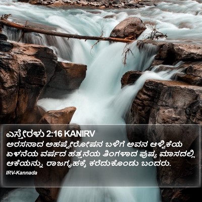ಎಸ್ತೇರಳು 2:16 KANIRV Bible Verse Image