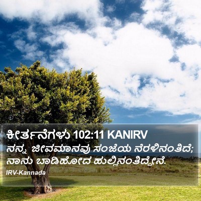 ಕೀರ್ತನೆಗಳು 102:11 KANIRV Bible Verse Image
