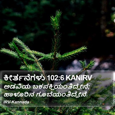 ಕೀರ್ತನೆಗಳು 102:6 KANIRV Bible Verse Image