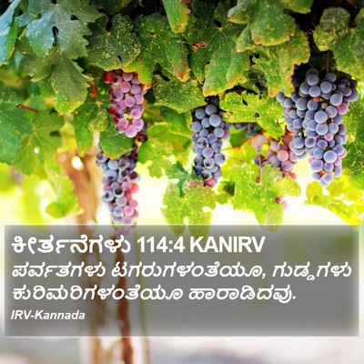ಕೀರ್ತನೆಗಳು 114:4 KANIRV Bible Verse Image