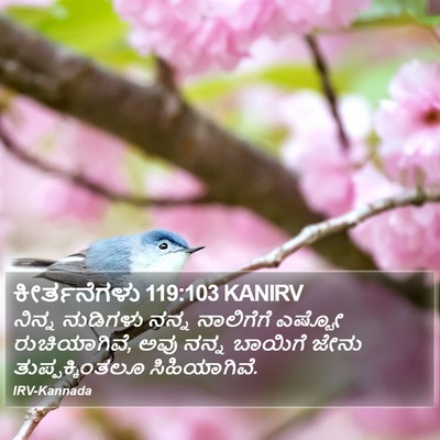 ಕೀರ್ತನೆಗಳು 119:103 KANIRV Bible Verse Image