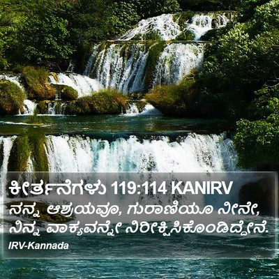 ಕೀರ್ತನೆಗಳು 119:114 KANIRV Bible Verse Image