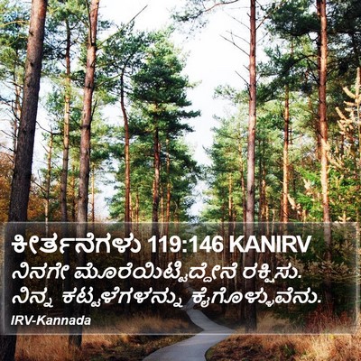 ಕೀರ್ತನೆಗಳು 119:146 KANIRV Bible Verse Image