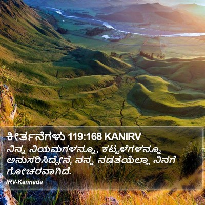 ಕೀರ್ತನೆಗಳು 119:168 KANIRV Bible Verse Image