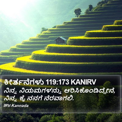 ಕೀರ್ತನೆಗಳು 119:173 KANIRV Bible Verse Image
