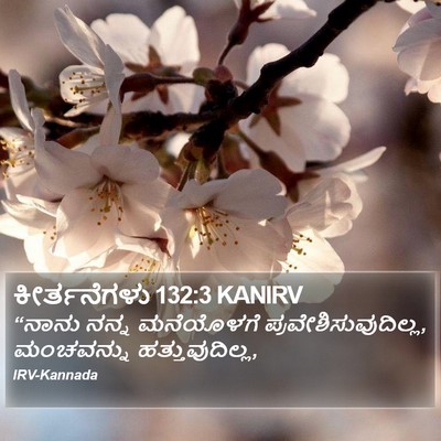 ಕೀರ್ತನೆಗಳು 132:3 KANIRV Bible Verse Image