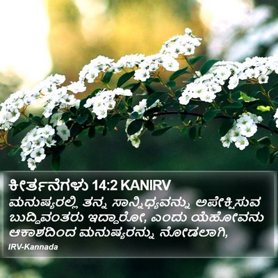 ಕೀರ್ತನೆಗಳು 14:2 KANIRV Bible Verse Image