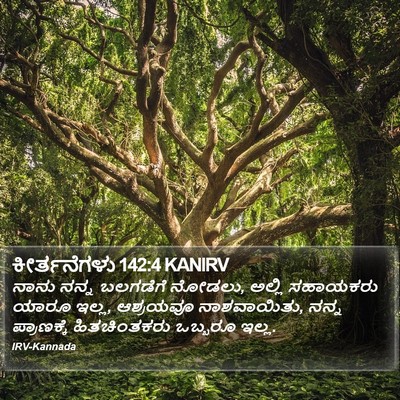 ಕೀರ್ತನೆಗಳು 142:4 KANIRV Bible Verse Image