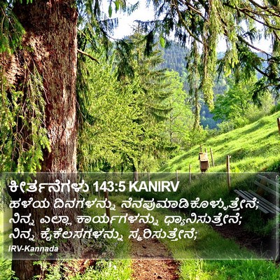 ಕೀರ್ತನೆಗಳು 143:5 KANIRV Bible Verse Image