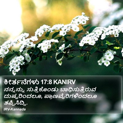 ಕೀರ್ತನೆಗಳು 17:8 KANIRV Bible Verse Image