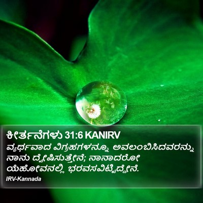 ಕೀರ್ತನೆಗಳು 31:6 KANIRV Bible Verse Image