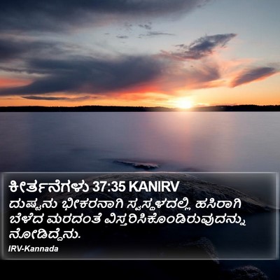 ಕೀರ್ತನೆಗಳು 37:35 KANIRV Bible Verse Image