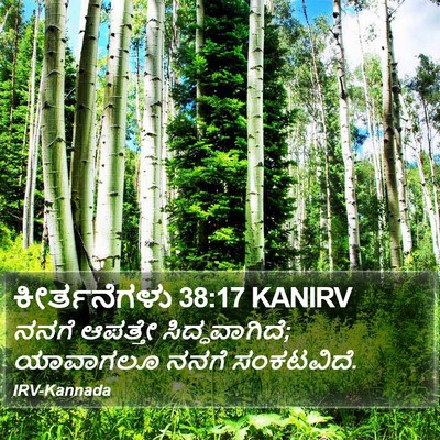 ಕೀರ್ತನೆಗಳು 38:17 KANIRV Bible Verse Image