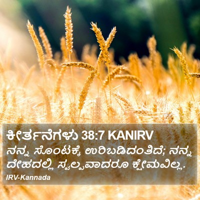 ಕೀರ್ತನೆಗಳು 38:7 KANIRV Bible Verse Image