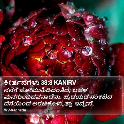 ಕೀರ್ತನೆಗಳು 38:8 KANIRV Bible Verse Image