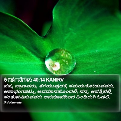 ಕೀರ್ತನೆಗಳು 40:14 KANIRV Bible Verse Image