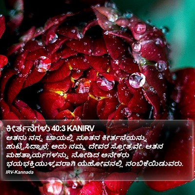 ಕೀರ್ತನೆಗಳು 40:3 KANIRV Bible Verse Image