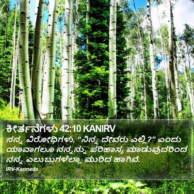 ಕೀರ್ತನೆಗಳು 42:10 KANIRV Bible Verse Image