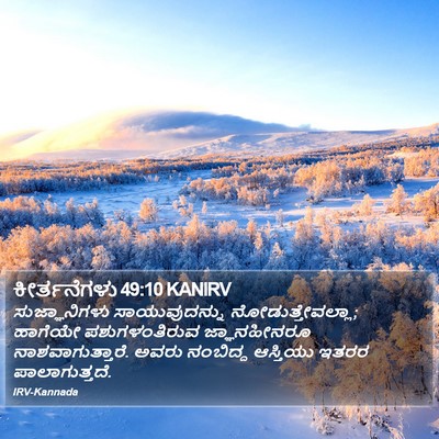 ಕೀರ್ತನೆಗಳು 49:10 KANIRV Bible Verse Image