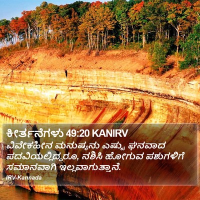 ಕೀರ್ತನೆಗಳು 49:20 KANIRV Bible Verse Image