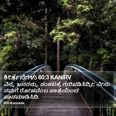 ಕೀರ್ತನೆಗಳು 60:3 KANIRV Bible Verse Image