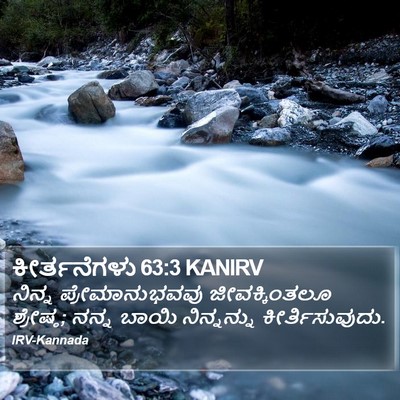 ಕೀರ್ತನೆಗಳು 63:3 KANIRV Bible Verse Image