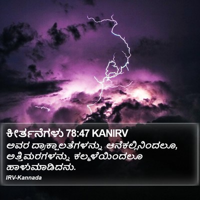 ಕೀರ್ತನೆಗಳು 78:47 KANIRV Bible Verse Image