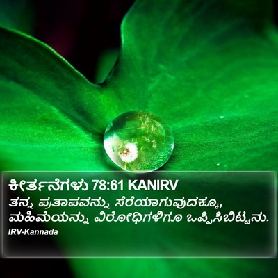 ಕೀರ್ತನೆಗಳು 78:61 KANIRV Bible Verse Image