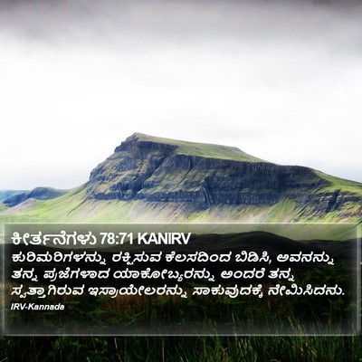 ಕೀರ್ತನೆಗಳು 78:71 KANIRV Bible Verse Image