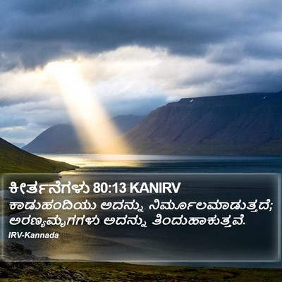 ಕೀರ್ತನೆಗಳು 80:13 KANIRV Bible Verse Image