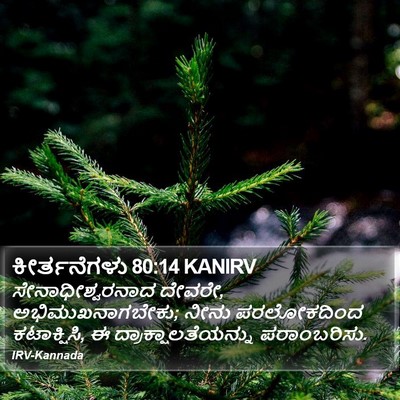 ಕೀರ್ತನೆಗಳು 80:14 KANIRV Bible Verse Image