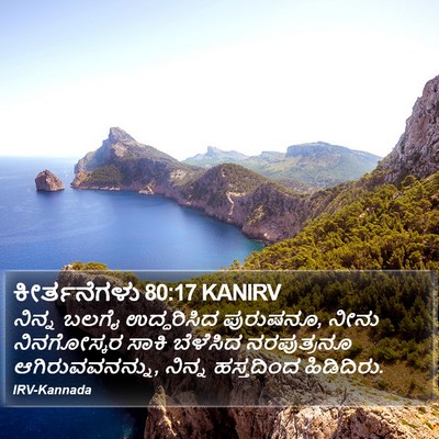 ಕೀರ್ತನೆಗಳು 80:17 KANIRV Bible Verse Image
