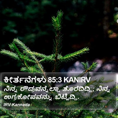 ಕೀರ್ತನೆಗಳು 85:3 KANIRV Bible Verse Image