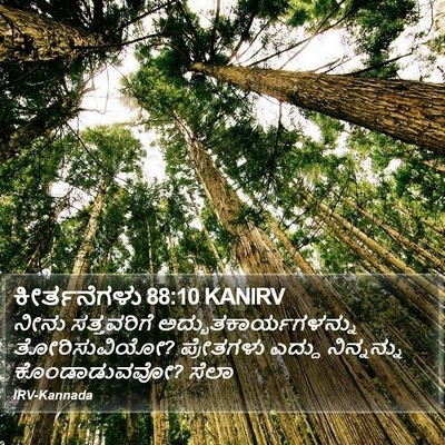 ಕೀರ್ತನೆಗಳು 88:10 KANIRV Bible Verse Image