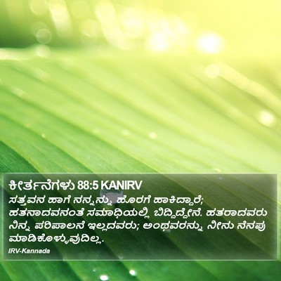 ಕೀರ್ತನೆಗಳು 88:5 KANIRV Bible Verse Image
