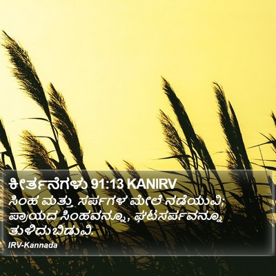 ಕೀರ್ತನೆಗಳು 91:13 KANIRV Bible Verse Image