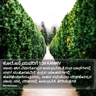 ಕೊಲೊಸ್ಸೆಯವರಿಗೆ 1:24 KANIRV Bible Verse Image