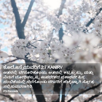 ಕೊಲೊಸ್ಸೆಯವರಿಗೆ 2:7 KANIRV Bible Verse Image