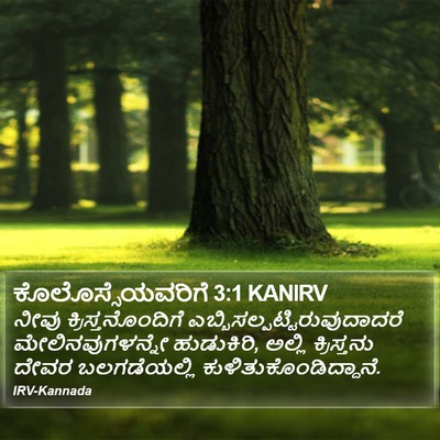 ಕೊಲೊಸ್ಸೆಯವರಿಗೆ 3:1 KANIRV Bible Verse Image