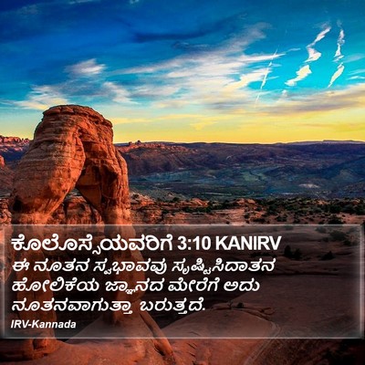 ಕೊಲೊಸ್ಸೆಯವರಿಗೆ 3:10 KANIRV Bible Verse Image