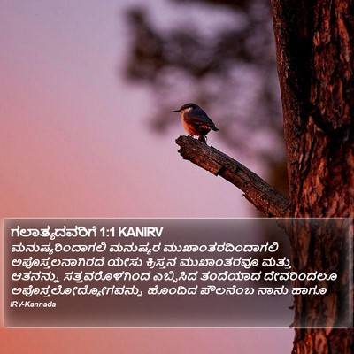 ಗಲಾತ್ಯದವರಿಗೆ 1:1 KANIRV Bible Verse Image