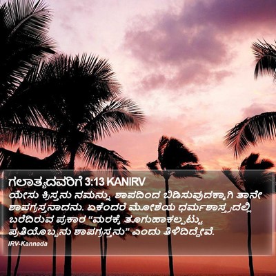 ಗಲಾತ್ಯದವರಿಗೆ 3:13 KANIRV Bible Verse Image