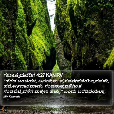 ಗಲಾತ್ಯದವರಿಗೆ 4:27 KANIRV Bible Verse Image